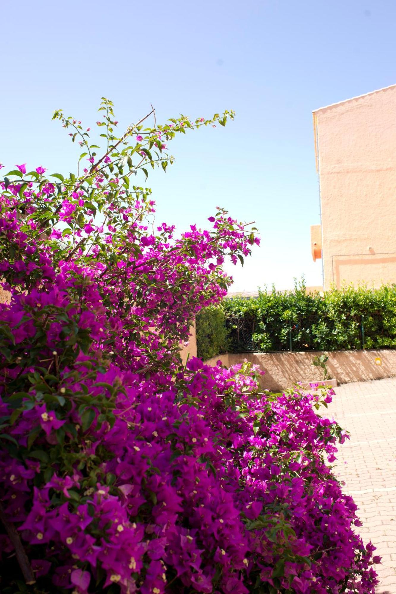 لا ماداّلينا Blu Baita المظهر الخارجي الصورة